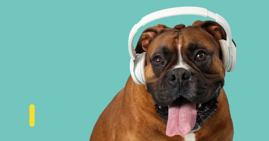Hoy te contamos 5 podcasts imprescindibles de educación para que potencies tu formación en el blog del aula virtual nabbü
